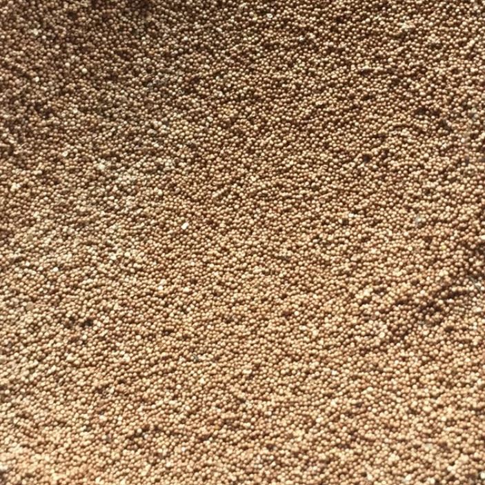 Bohai Bay artemia Cysts Brine Shrimp eggs